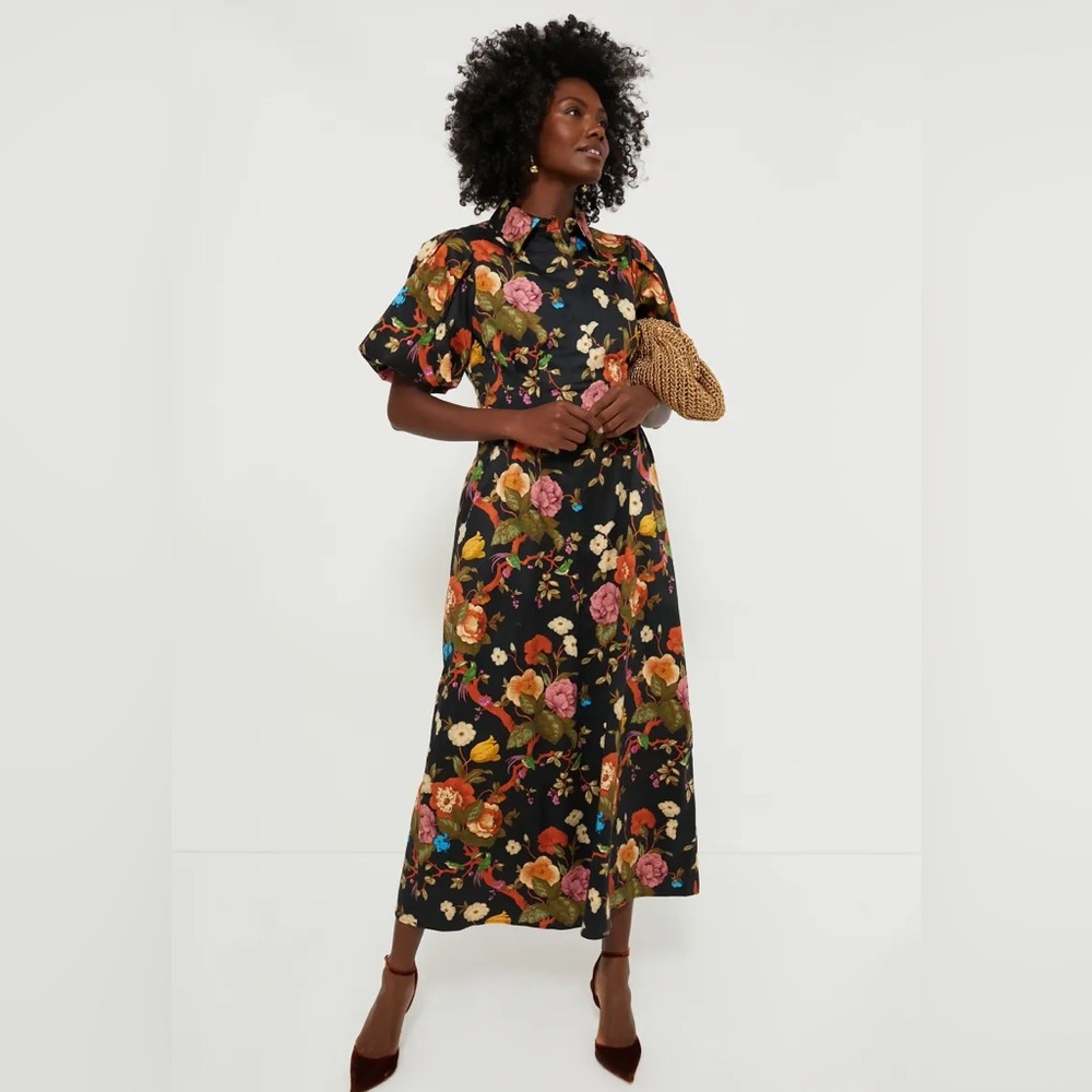 Tuckernuck| Baroque Floral Delaney Short Puff Sleeve Maxi Dress Size XXL - Picture 8 of 9